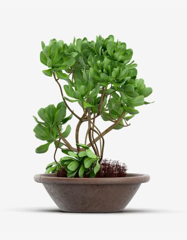 Nilson Basics Artificial Fake Tree